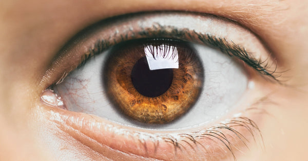 Saúde ocular: como proteger sua visão com a ajuda da luteína e do ômega 3