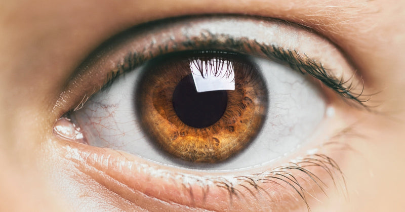Saúde ocular: como proteger sua visão com a ajuda da luteína e do ômega 3